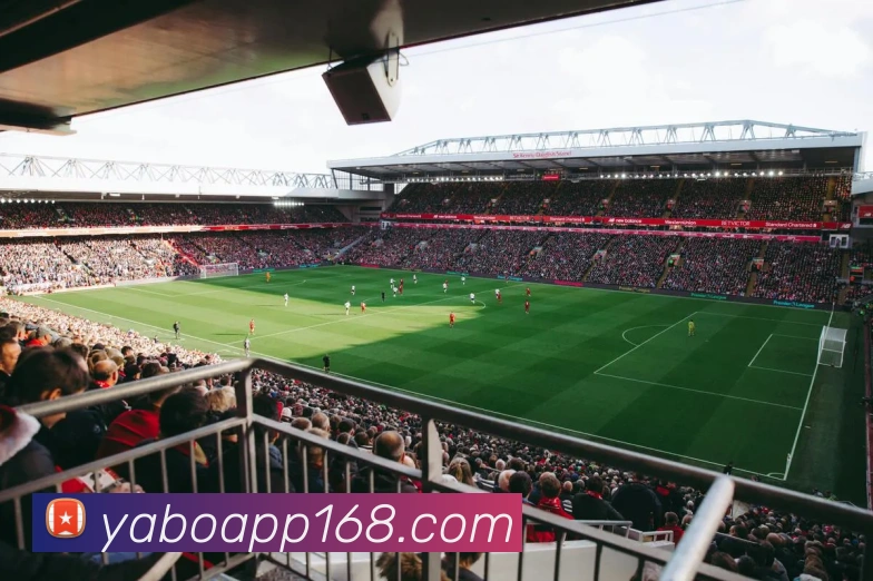 雅博app品牌故事