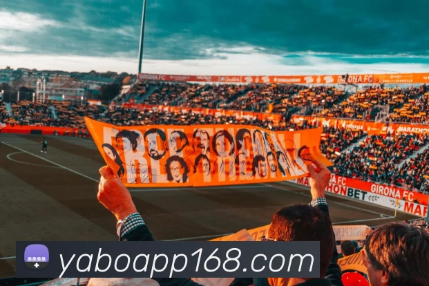 雅博app服务体系