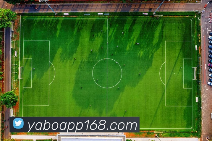 雅博appAPP 体育赛事宣传图